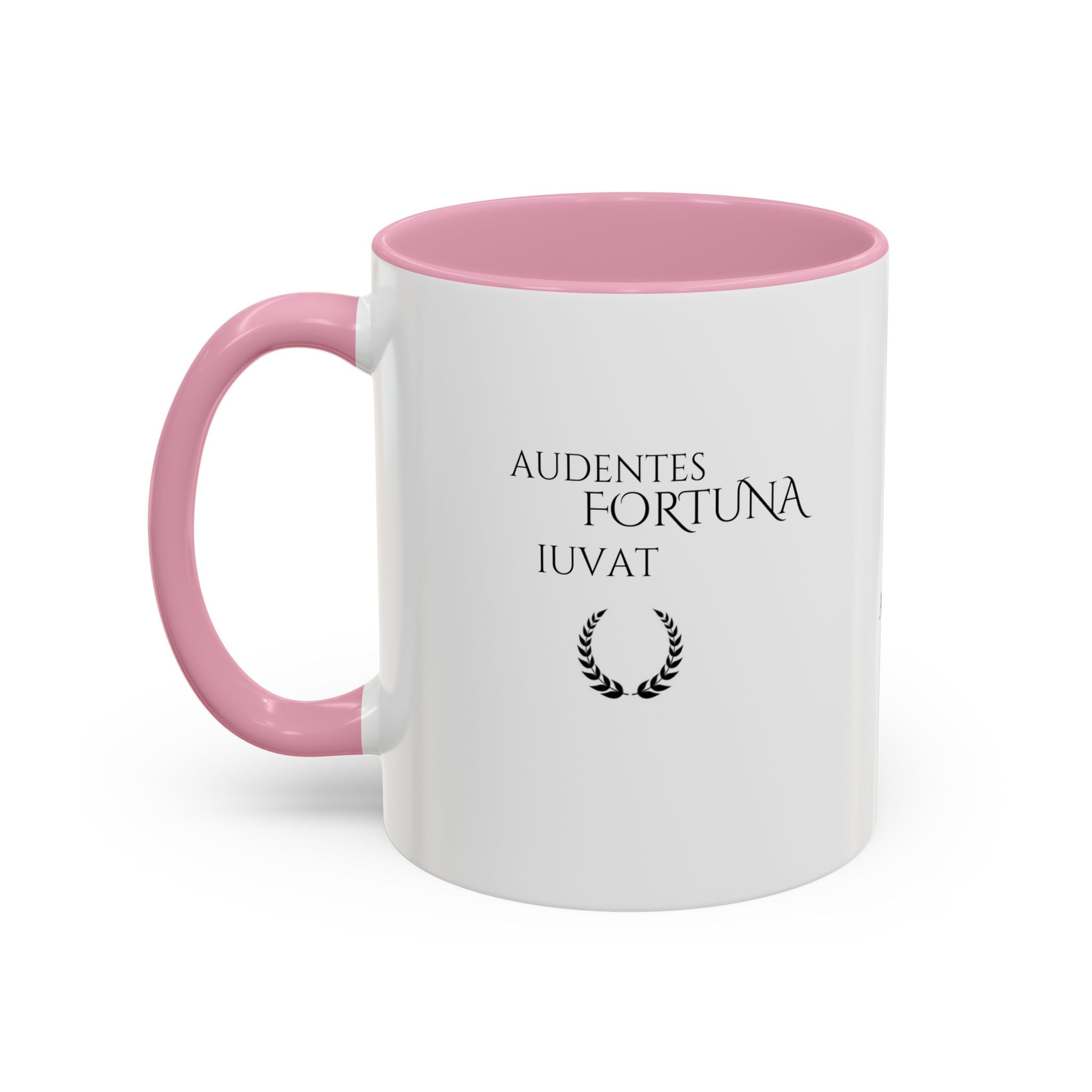 Audentes Fortuna Iuvat – Fortune Favors the Brave Mug