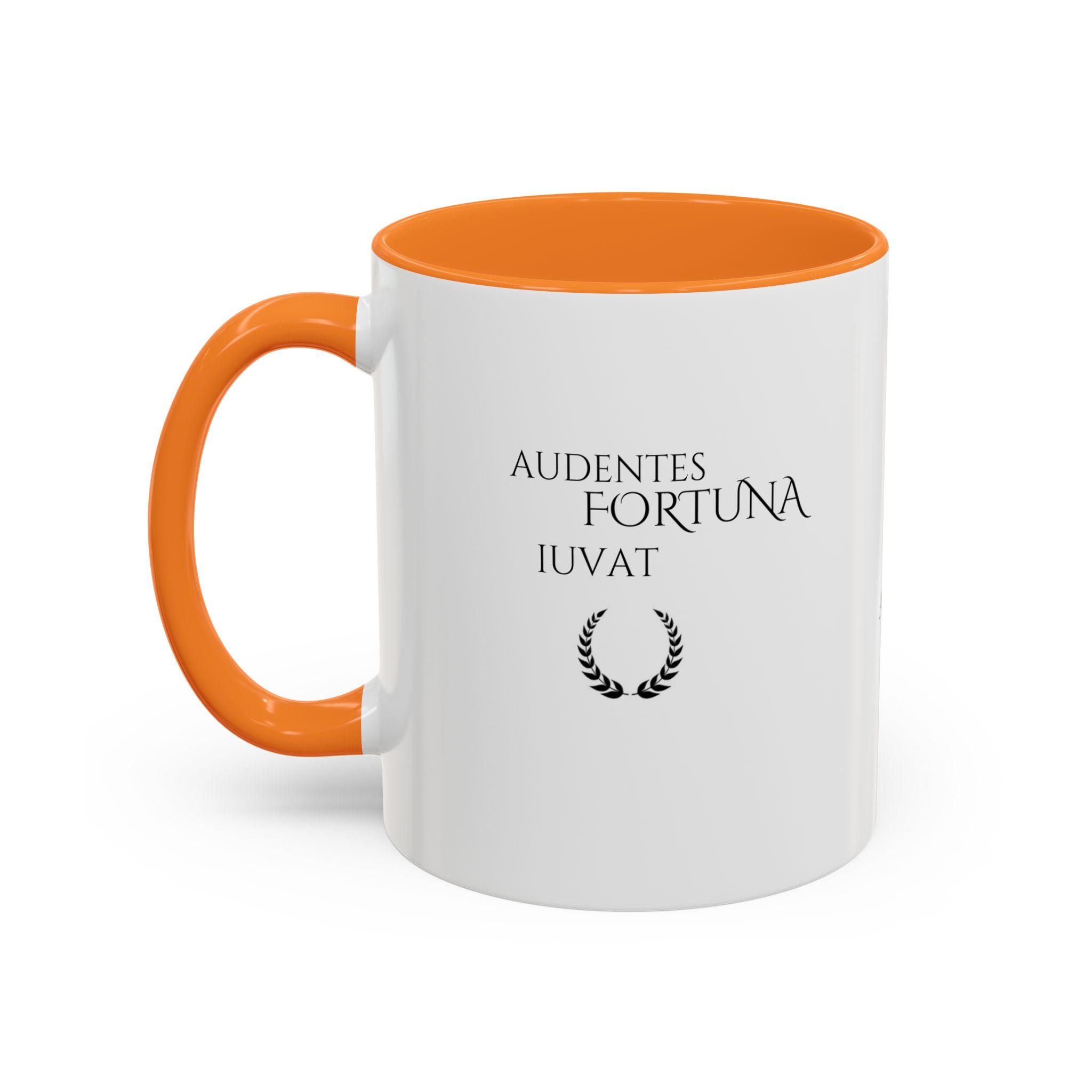 Audentes Fortuna Iuvat – Fortune Favors the Brave Mug