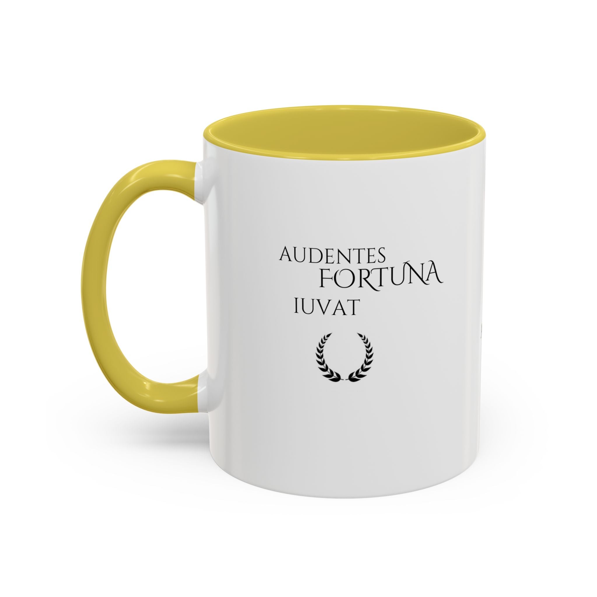 Audentes Fortuna Iuvat – Fortune Favors the Brave Mug